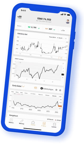 Choice Assetix digital web application on mobile device
